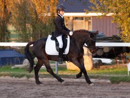IMG_8129_web